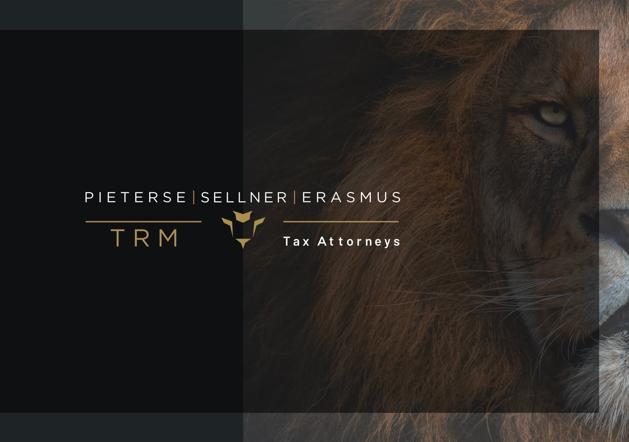 TRM Tax Attorneys case study preview